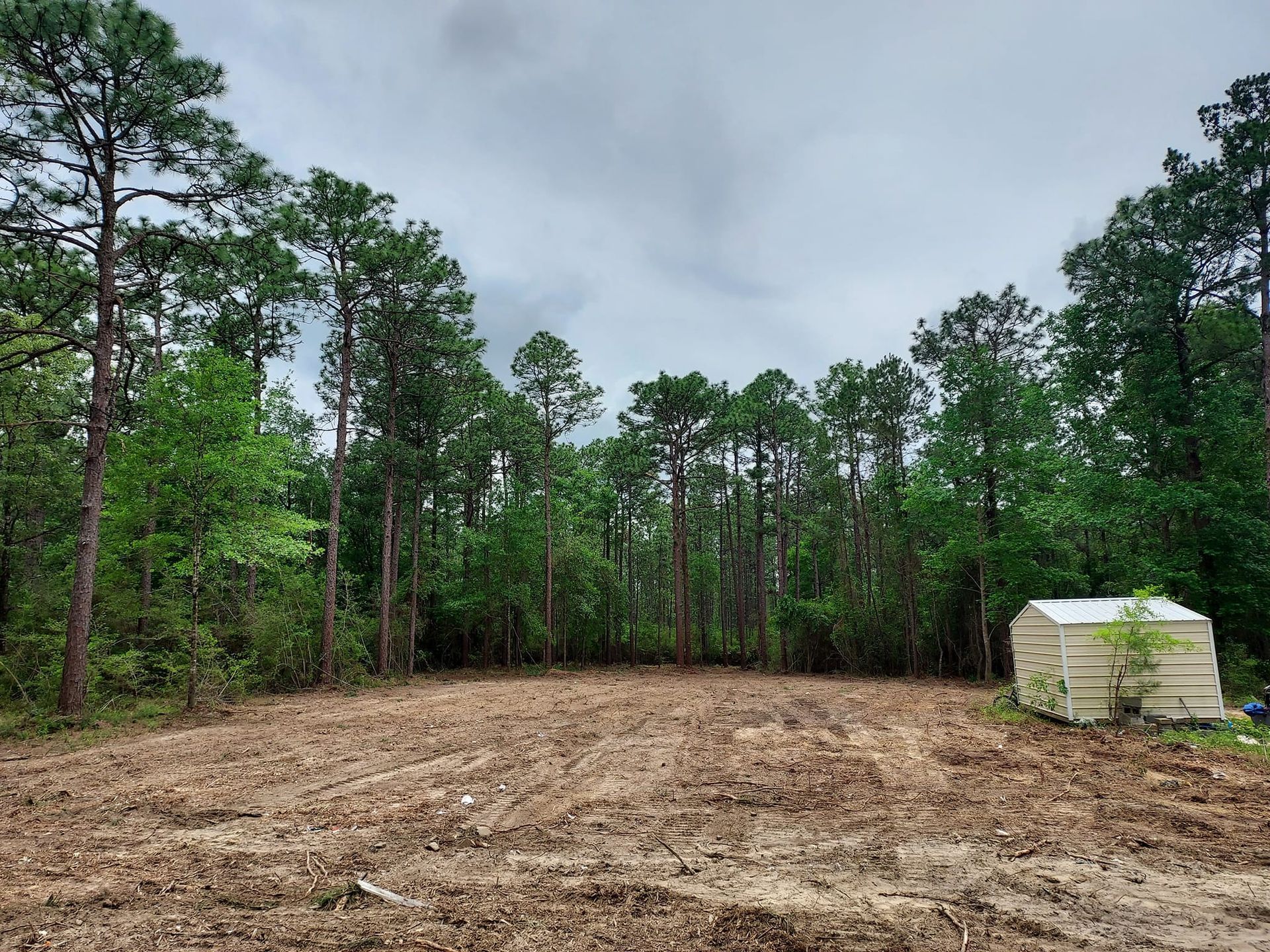Cleared, brown field with a small shed, surrounded by green trees under a cloudy sky.