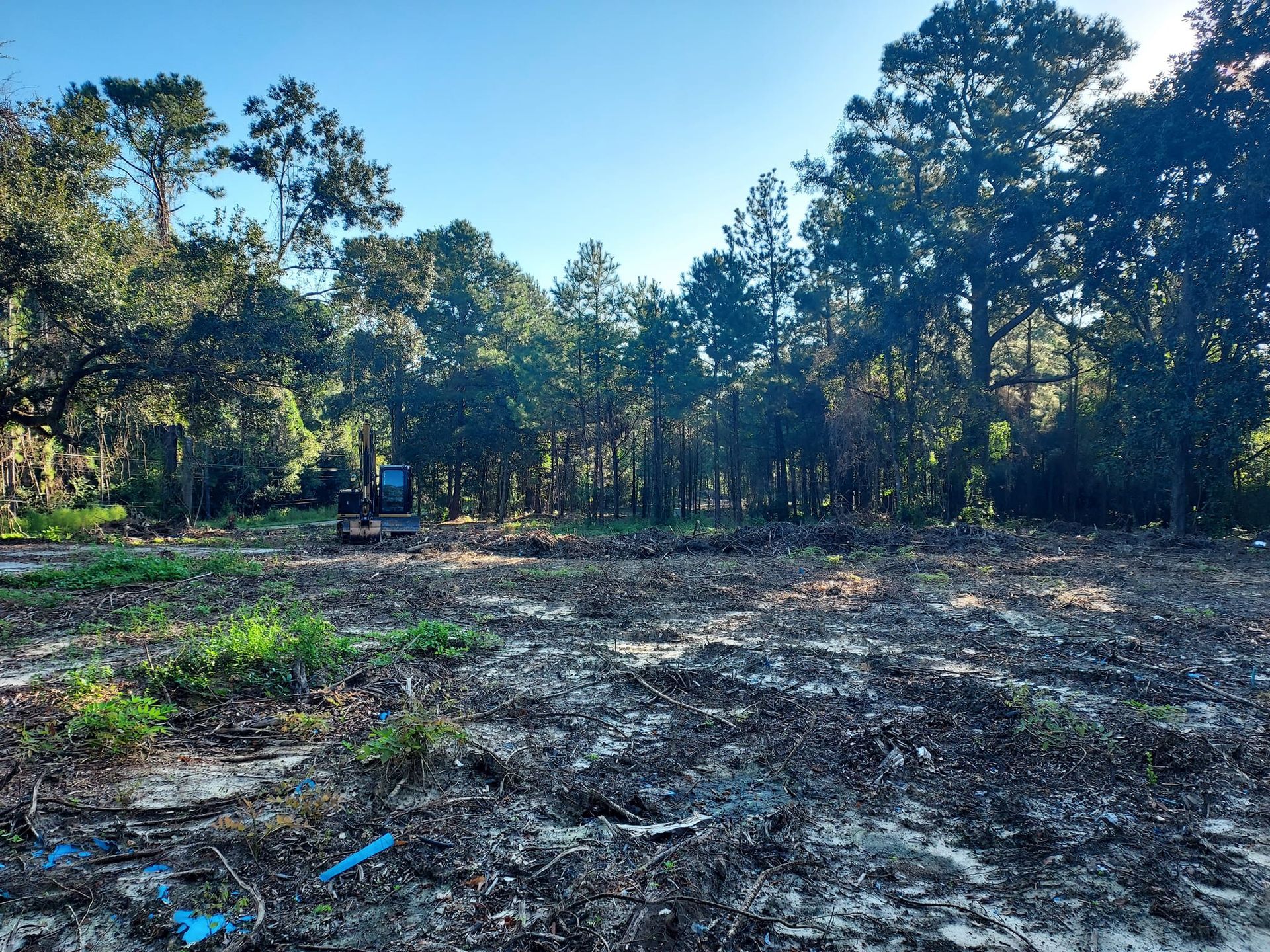 Clearing of wooded lot with heavy equipment; trees in the background and debris in the foreground.