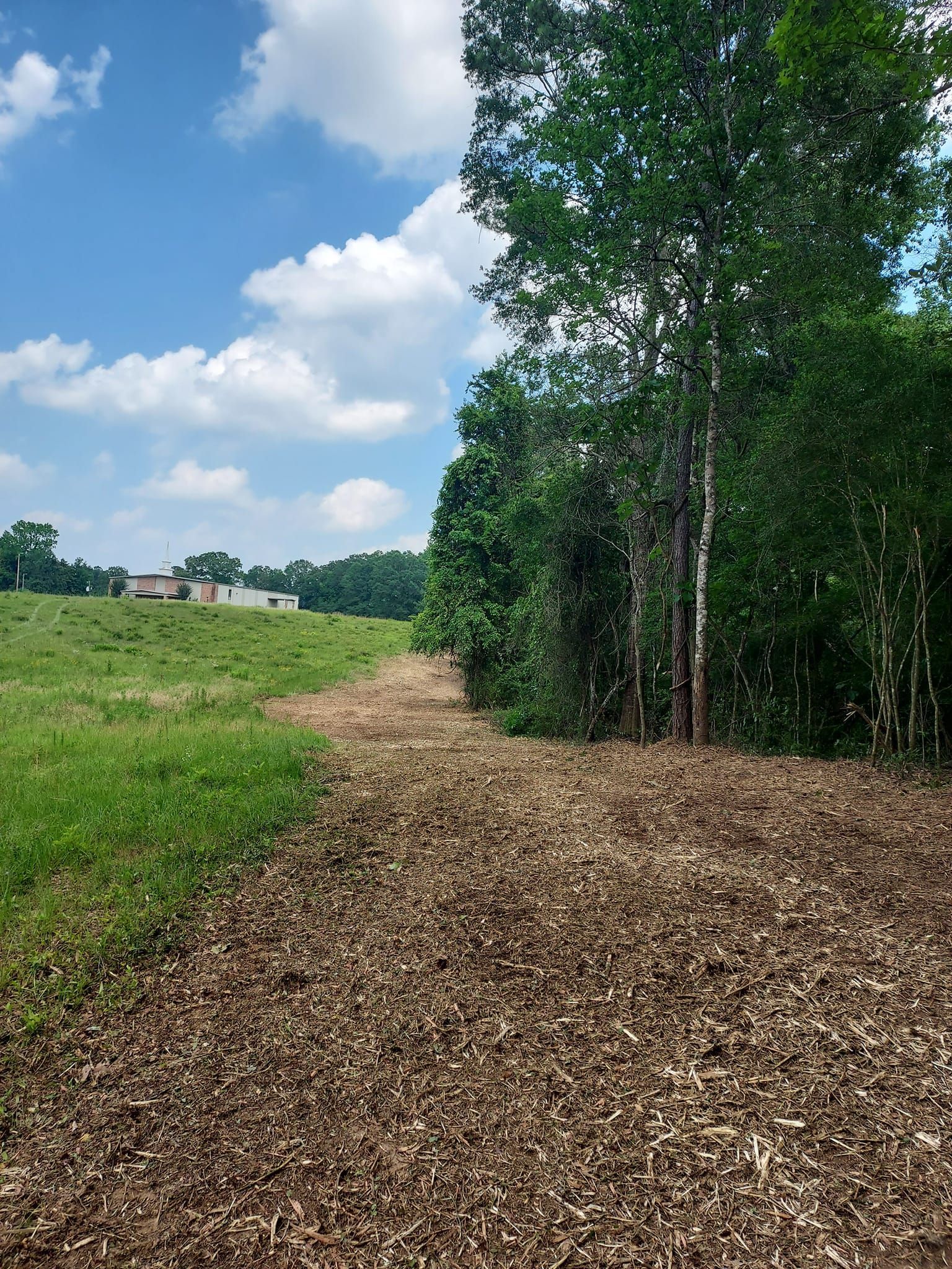 A path covered in brown mulch borders a grassy field and green trees under a blue sky with clouds.