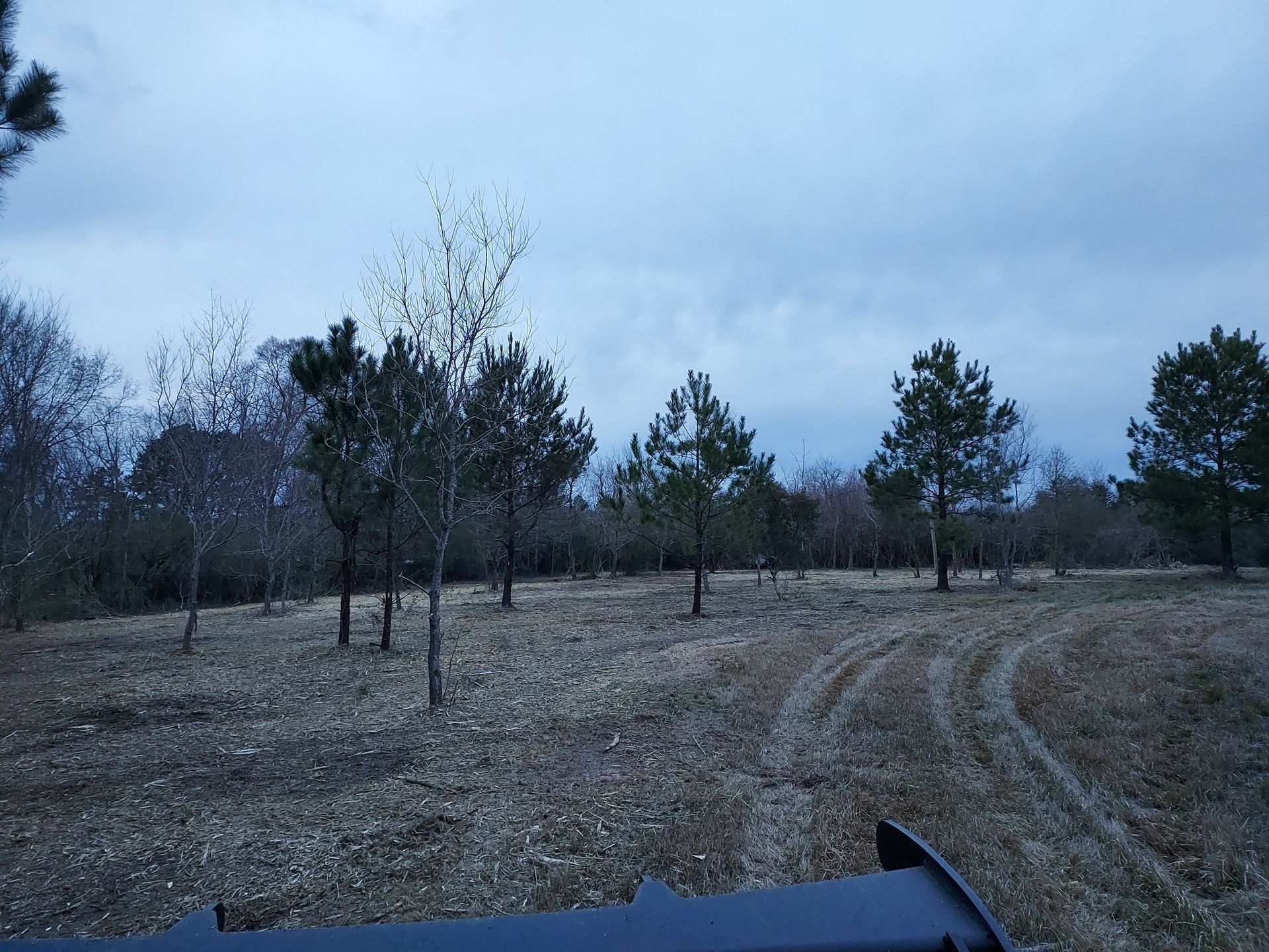 Field with tire tracks, small trees, and overcast sky.