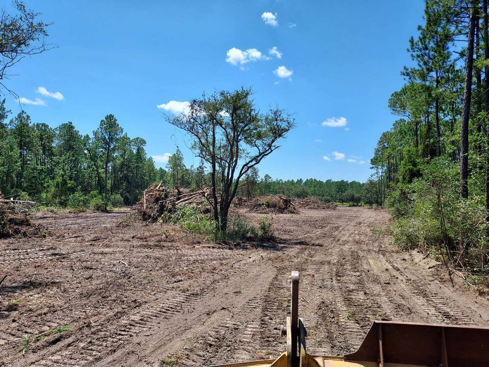 A bulldozer's-eye view of a cleared lot with a single tree remaining; a blue sky with clouds in the background.
