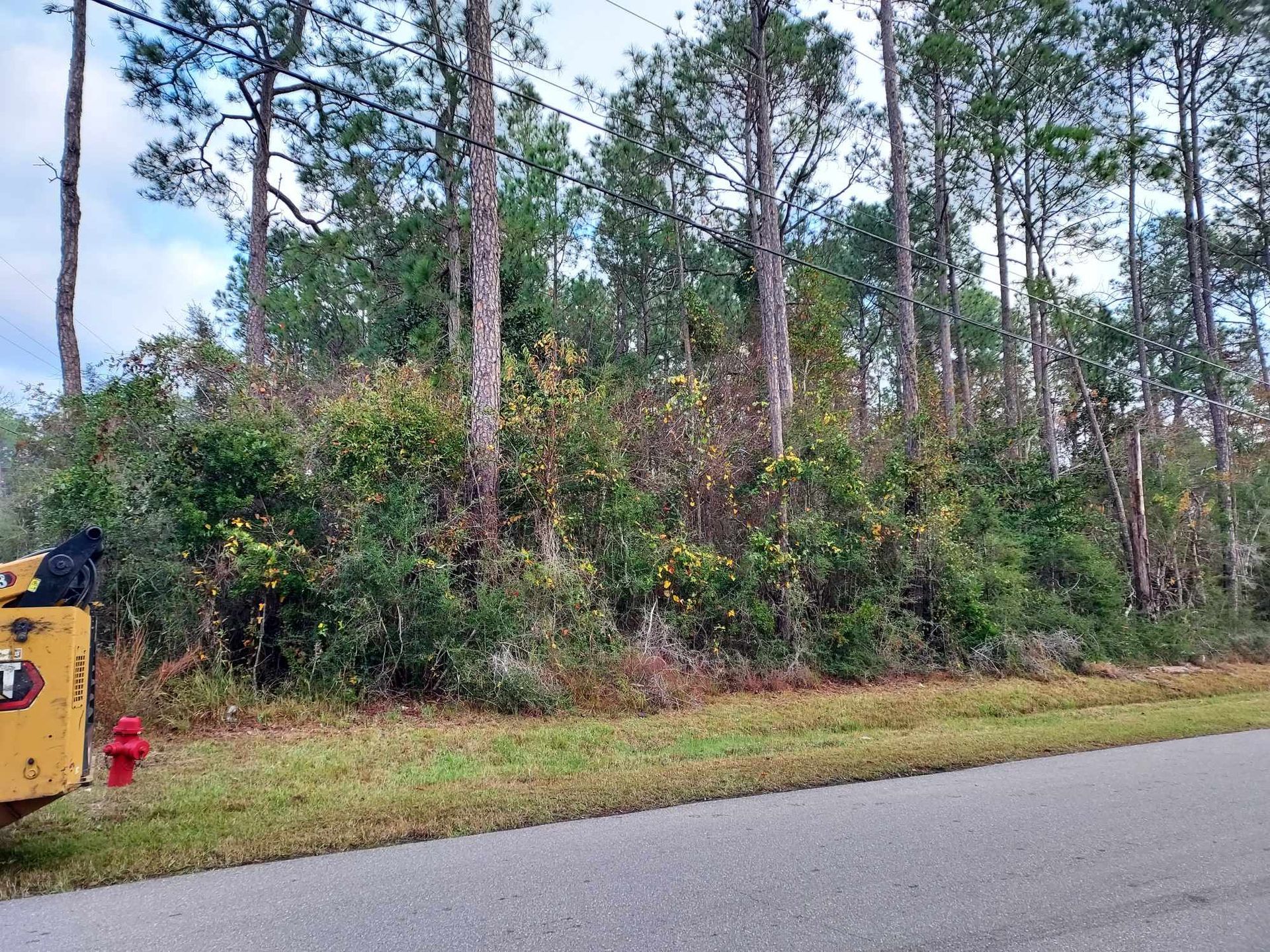 Grassy lot with trees, shrubs, and a yellow construction vehicle on the side of a paved road.