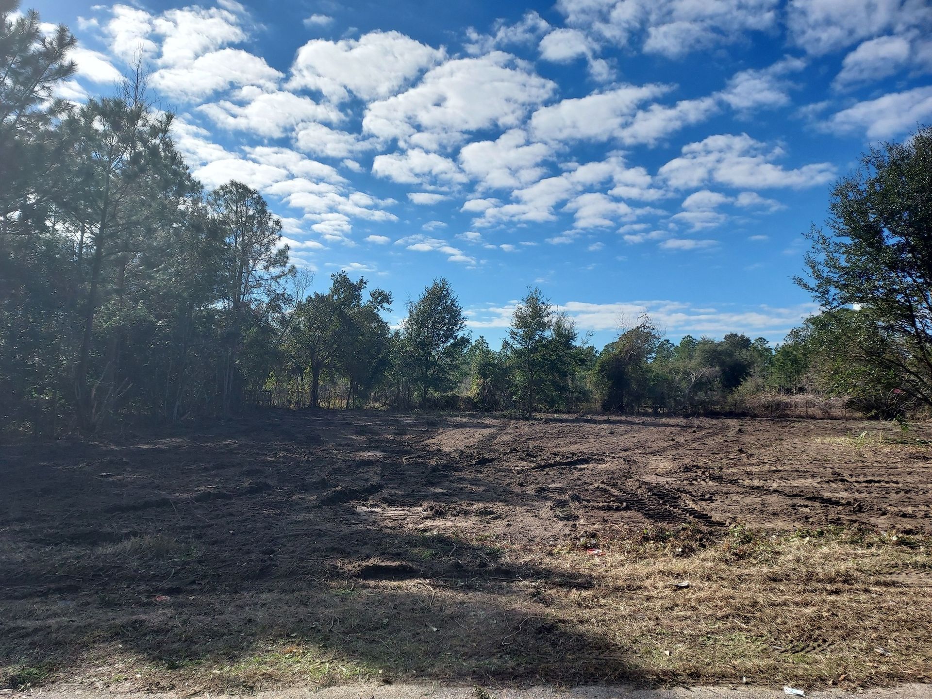 Cleared land with a view of trees under a cloudy blue sky.