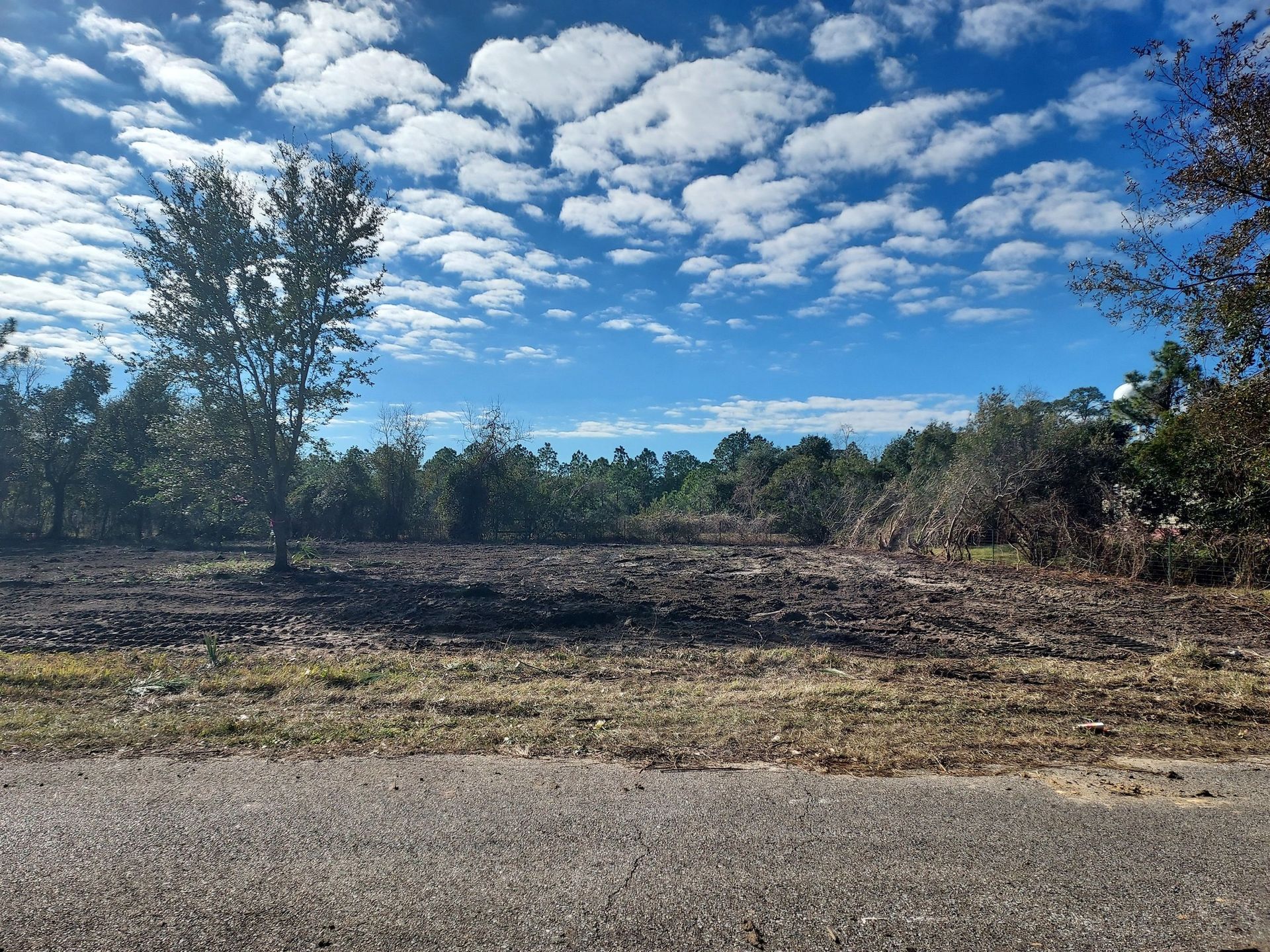 Cleared lot with blue sky, white clouds, and sparse trees in the background.