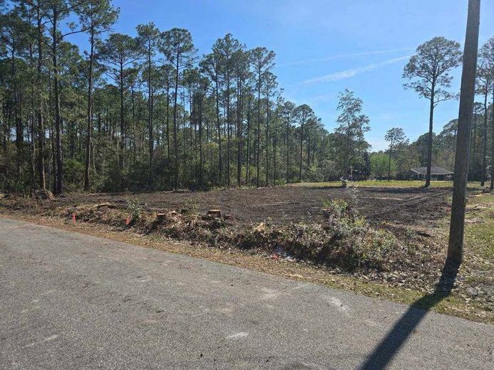 Cleared lot adjacent to a road, bordered by pine trees under a blue sky.