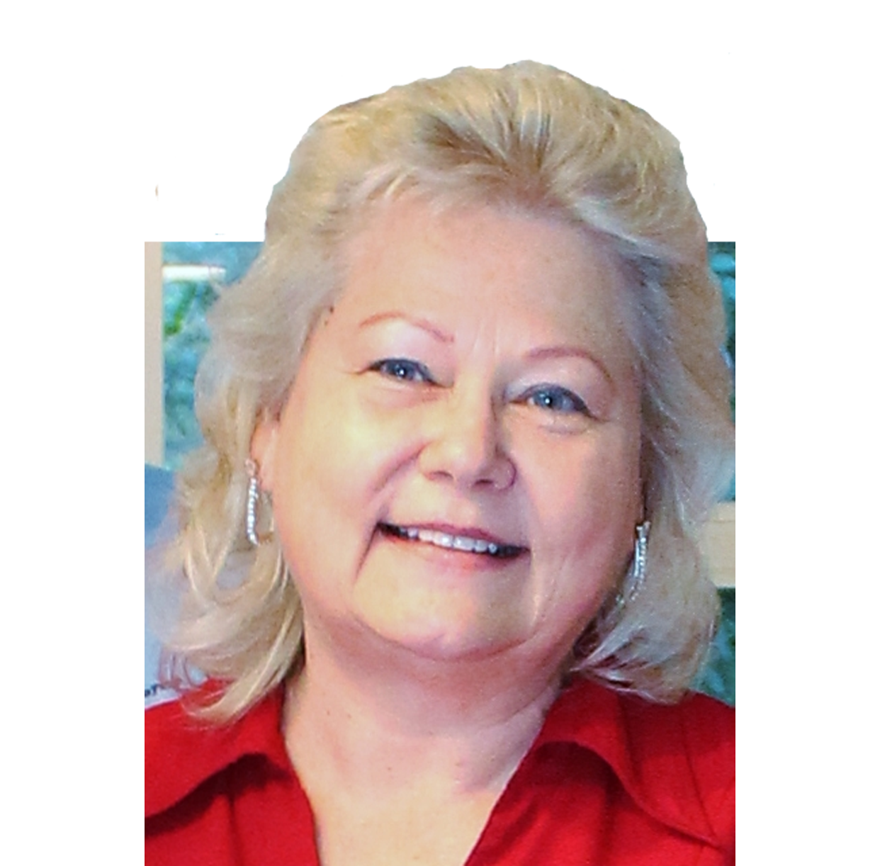 Mary Ann Krafcik — Spring Hill, FL— Loan Fox Inc.