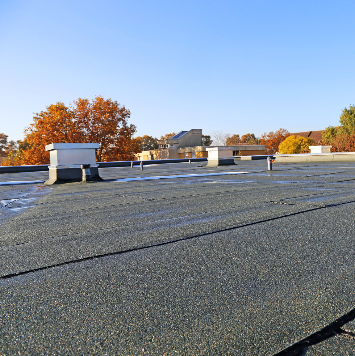 A flat roof and trees in the background
