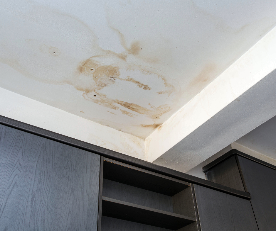 mold on corner of ceiling above black shelving 
