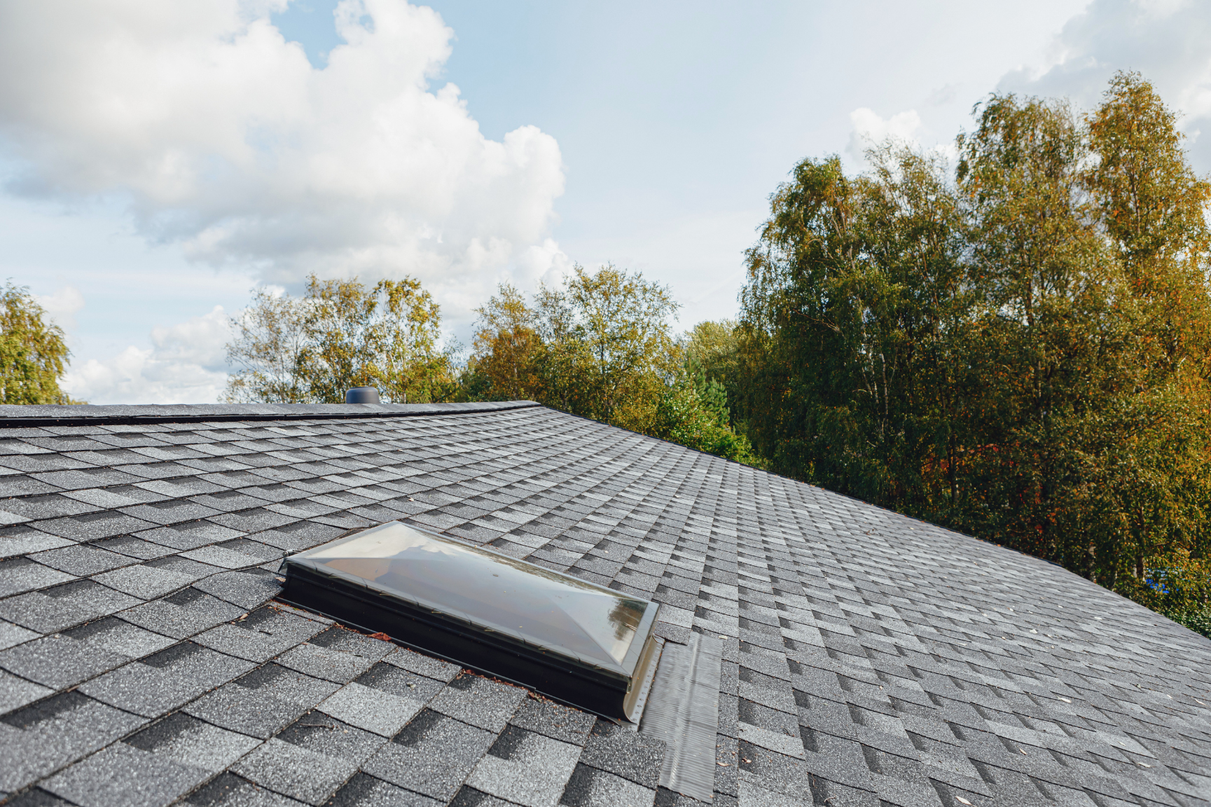 Gray roof shingles with skylight and trees in distance