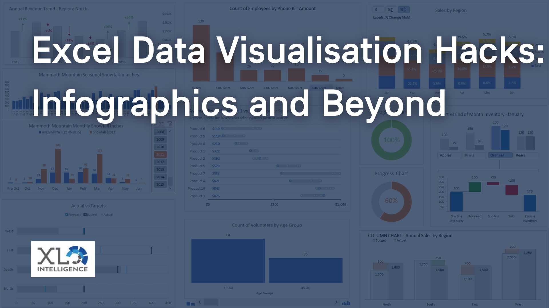 Excel Data Visualisation