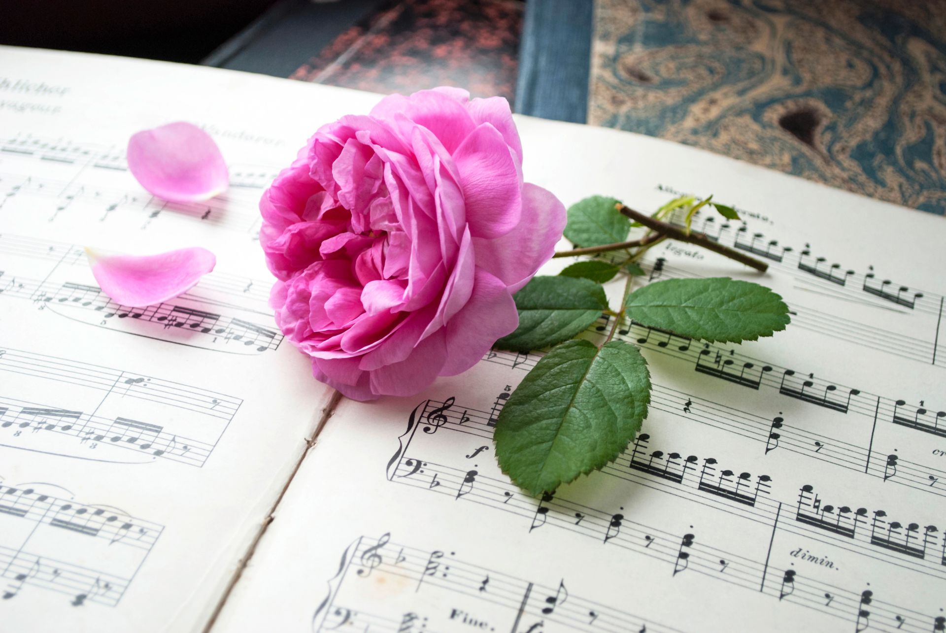 Musiknoten mit Blume