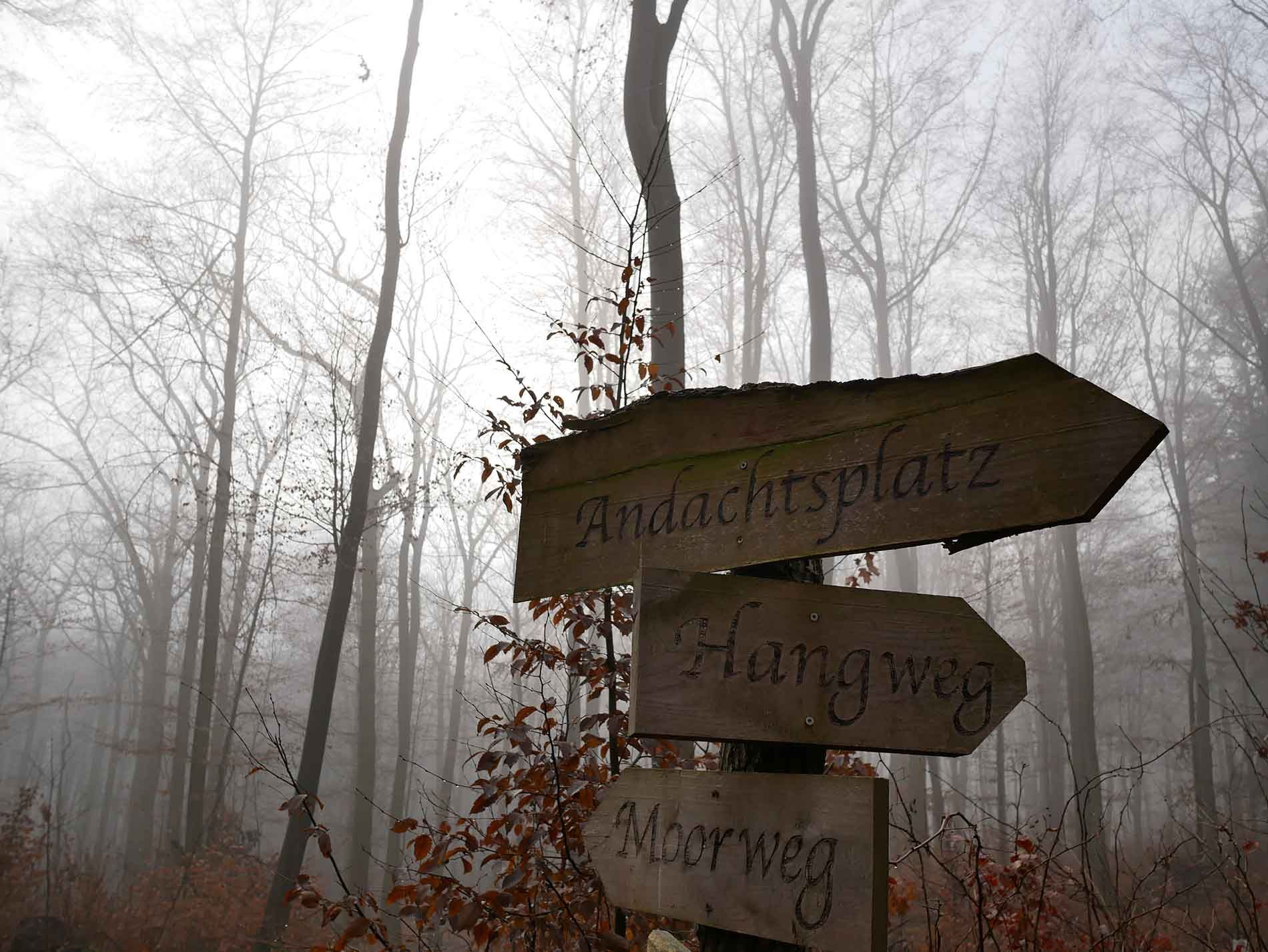 Ruheforst Eberswalde