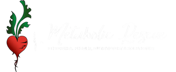 Metabolic Rescue logo