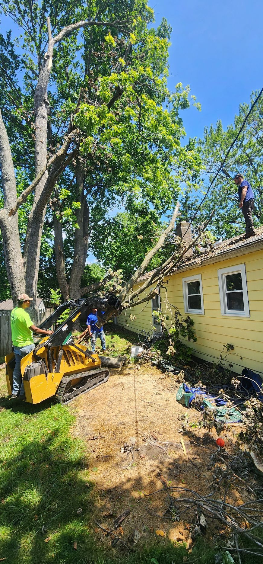 A man is standing on the roof of a house while a tree is being removed.