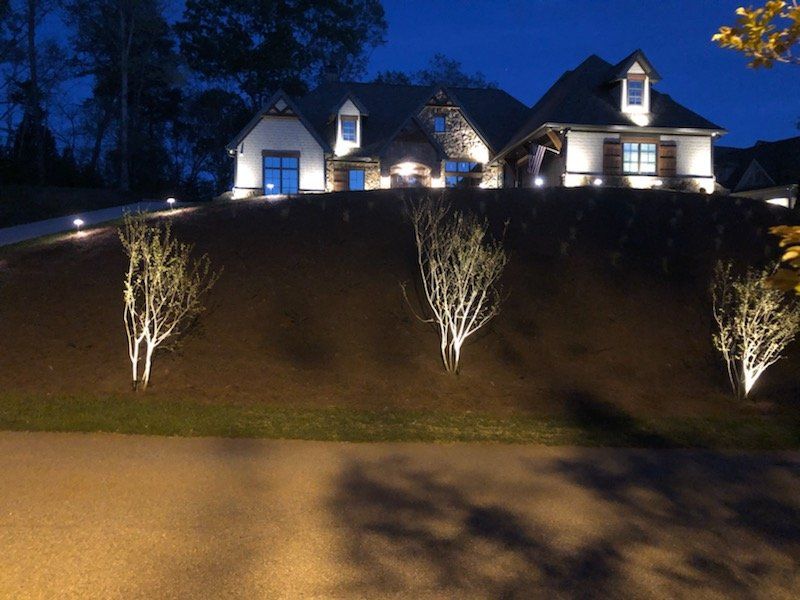 Lighting On Plants And House — Atlanta, GA — Rob Ingram’s Freestyle Lighting and Electrical