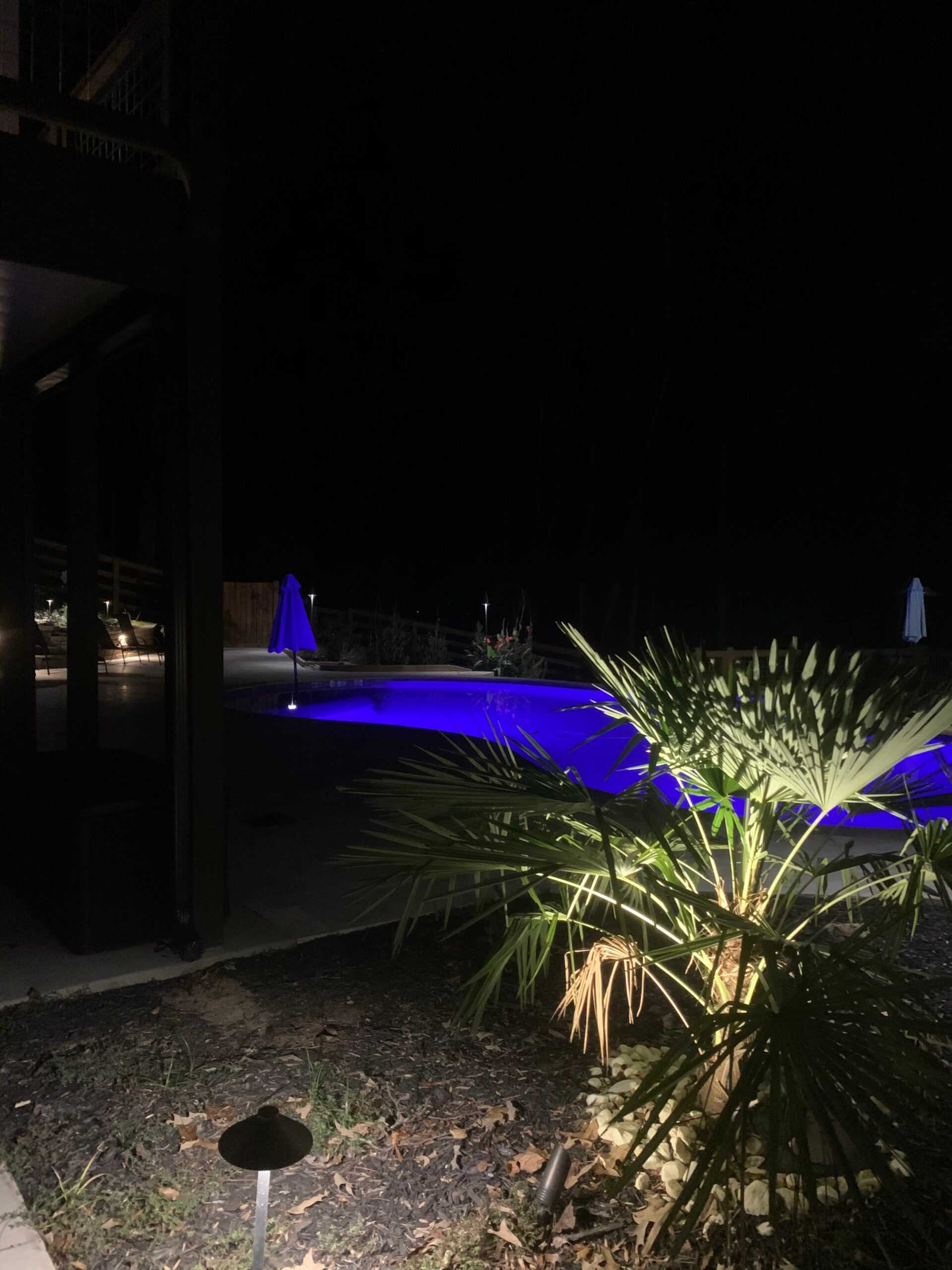 Lighting On Plants — Atlanta, GA — Rob Ingram’s Freestyle Lighting and Electrical