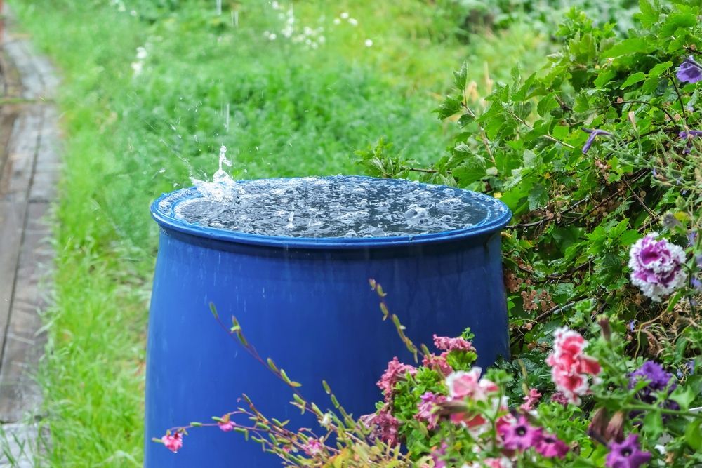 Blue rain barrel collecting water in a garden setting, with green grass and flowers.