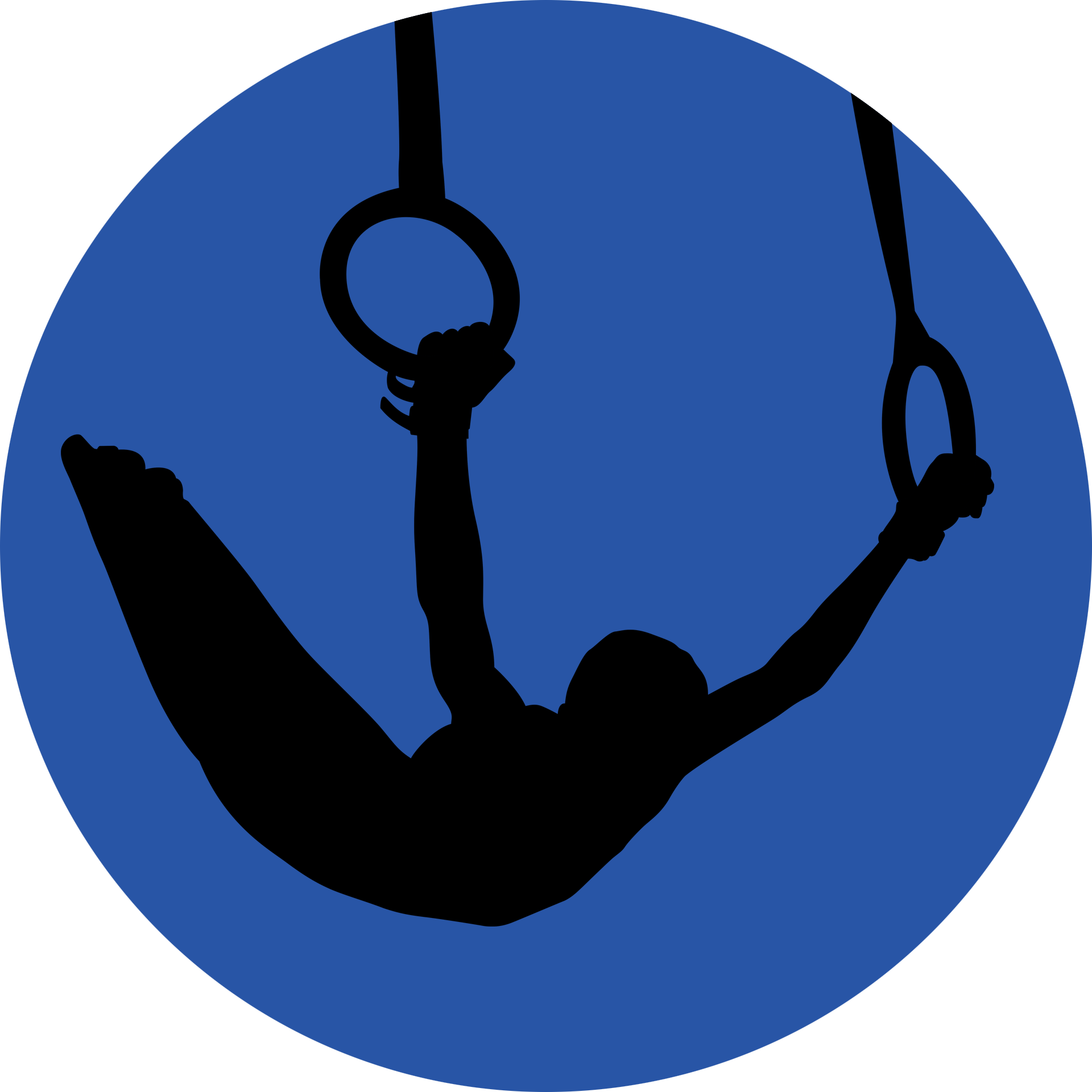 A silhouette of a person doing gymnastics on rings