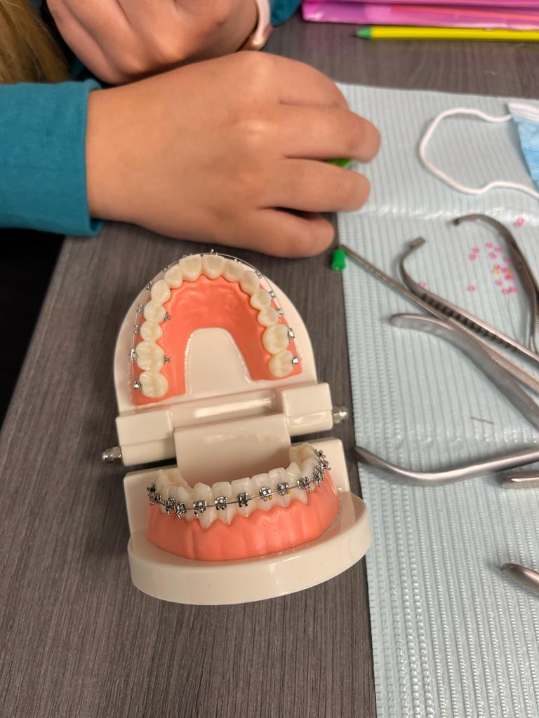 Laboratory in Orthodontics Dental Training For You