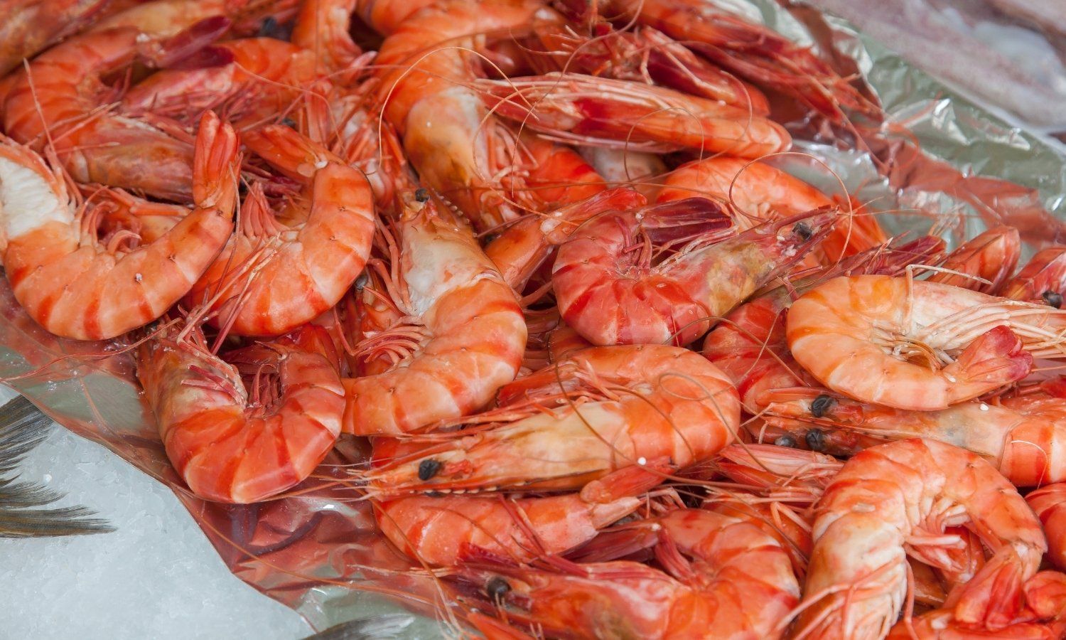 Difference Between Prawns and Shrimp