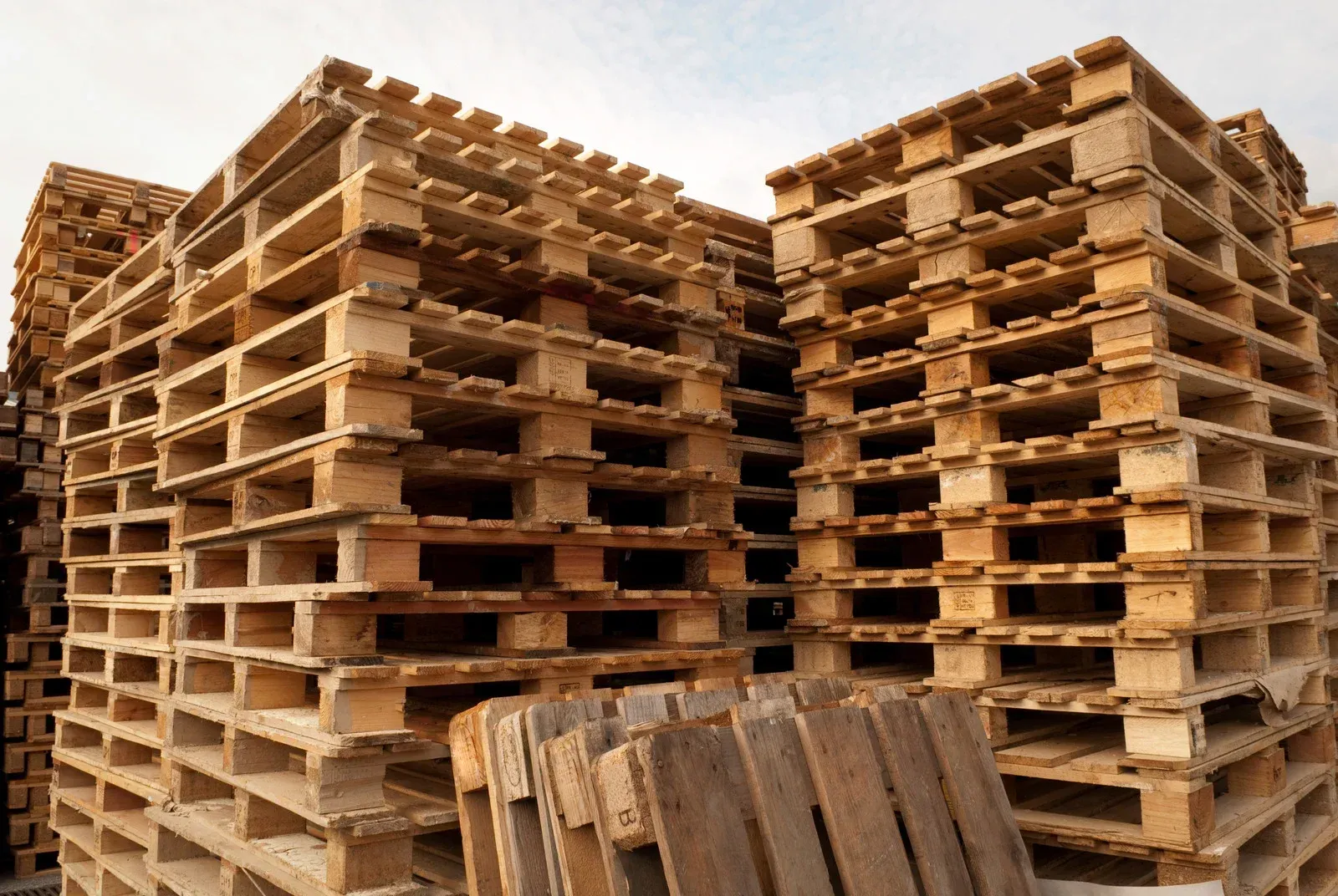 Stacks of wooden shipping pallets.