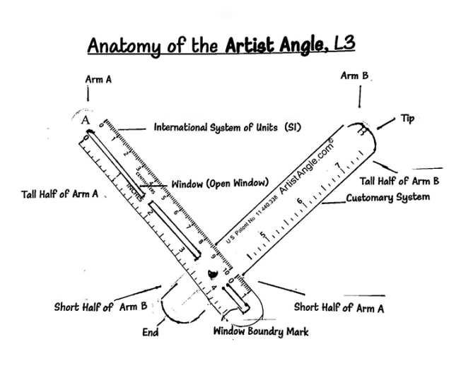 anatomy of artist angle