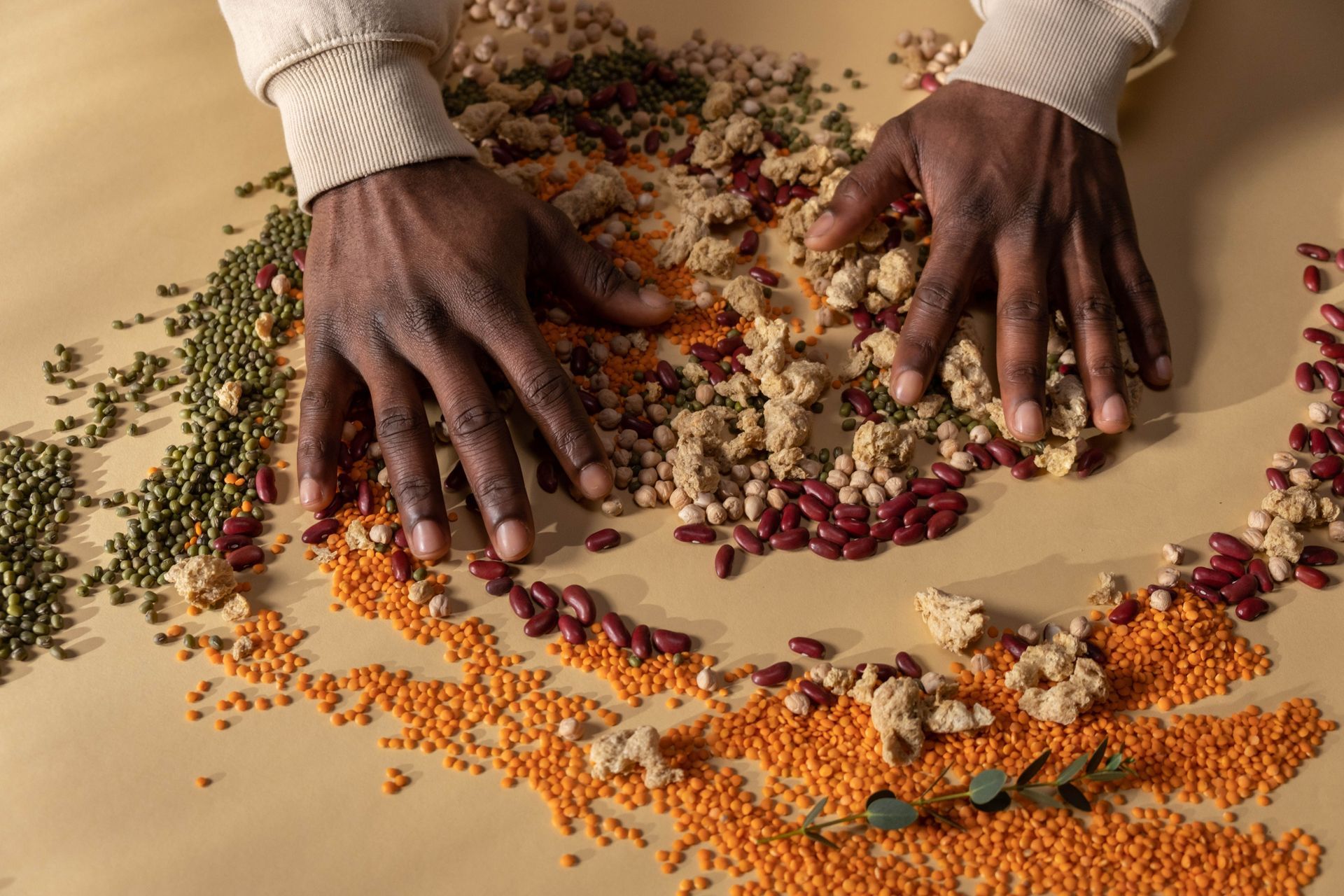 Discover simple, sustainable habits to shift from junk to nourishment
