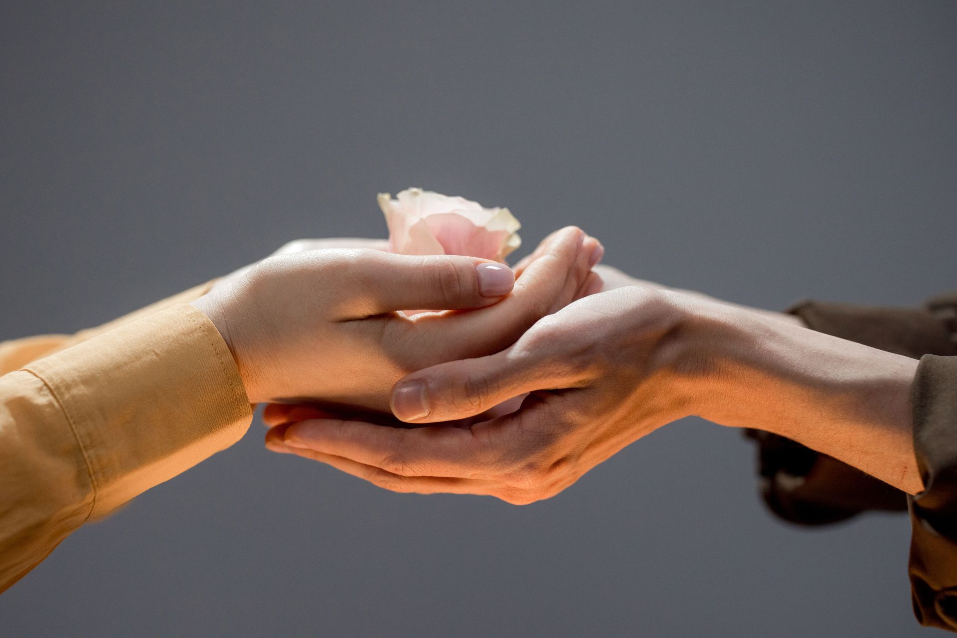 Hand gently offering a pink flower to another hand