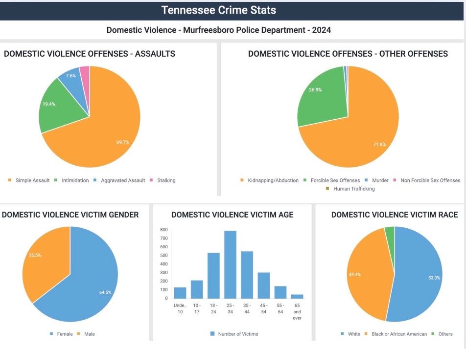 Tennessee crime statistics dashboard: domestic violence data from Murfreesboro PD. Pie charts, bar graph display offender and victim demographics.