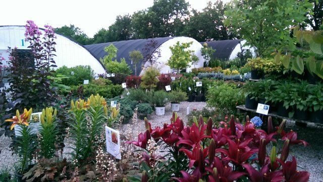 Glynn Young's Landscaping & Nursery Center