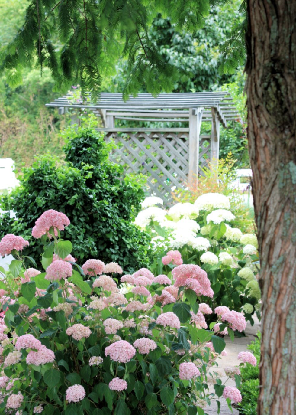 Glynn Young's Landscaping & Nursery Center