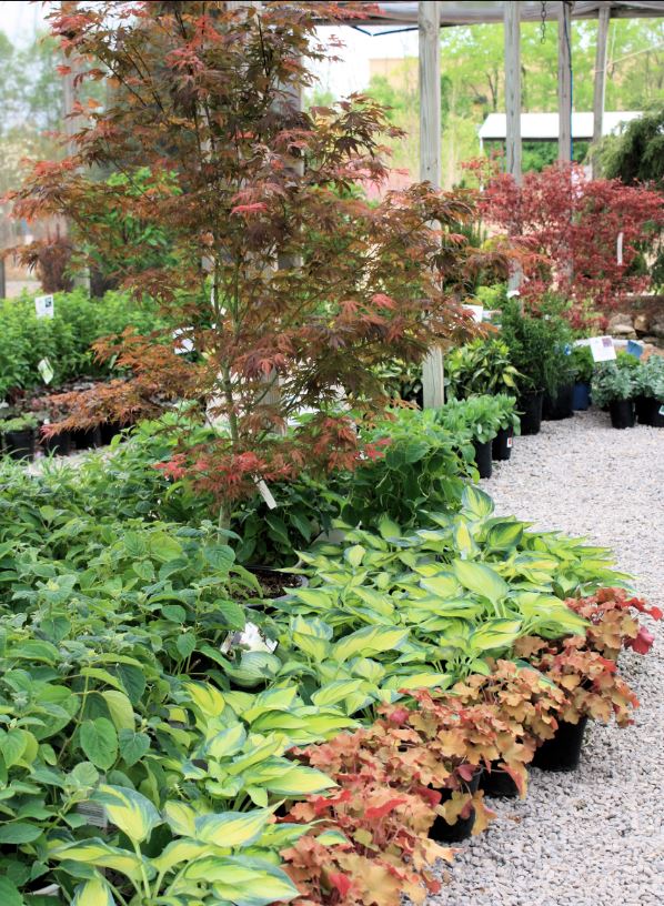 Glynn Young's Landscaping & Nursery Center