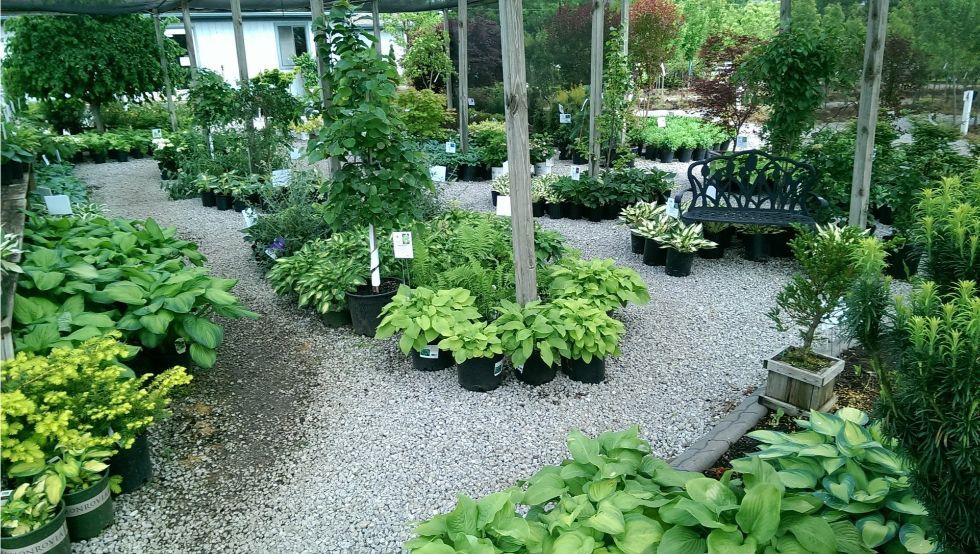 Glynn Young's Landscaping & Nursery Center