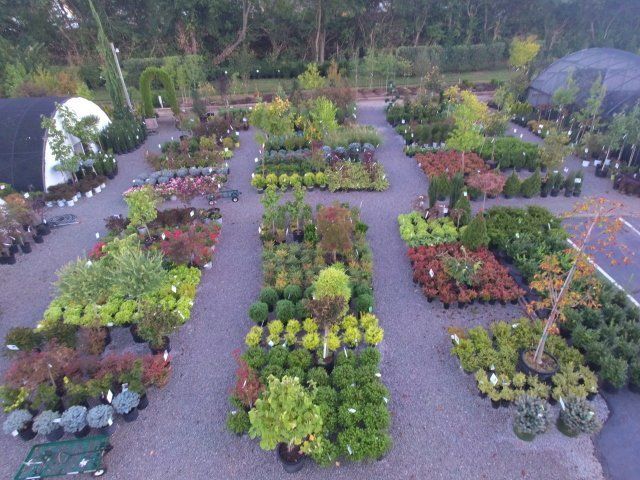 Glynn Young's Landscaping & Nursery Center