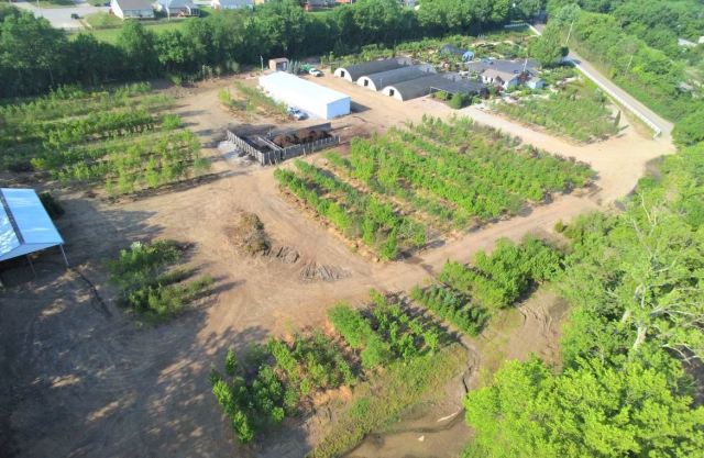 Glynn Young's Landscaping & Nursery Center