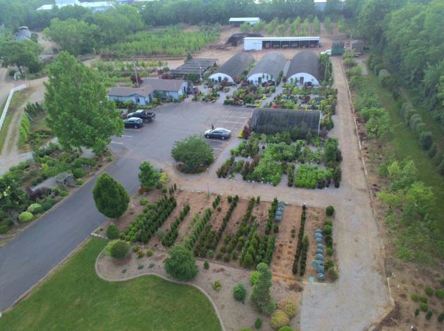 Glynn Young's Landscaping & Nursery Center