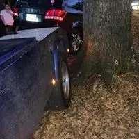 Car crashed into a tree. The front of the car is damaged, against the tree trunk in a dark setting.