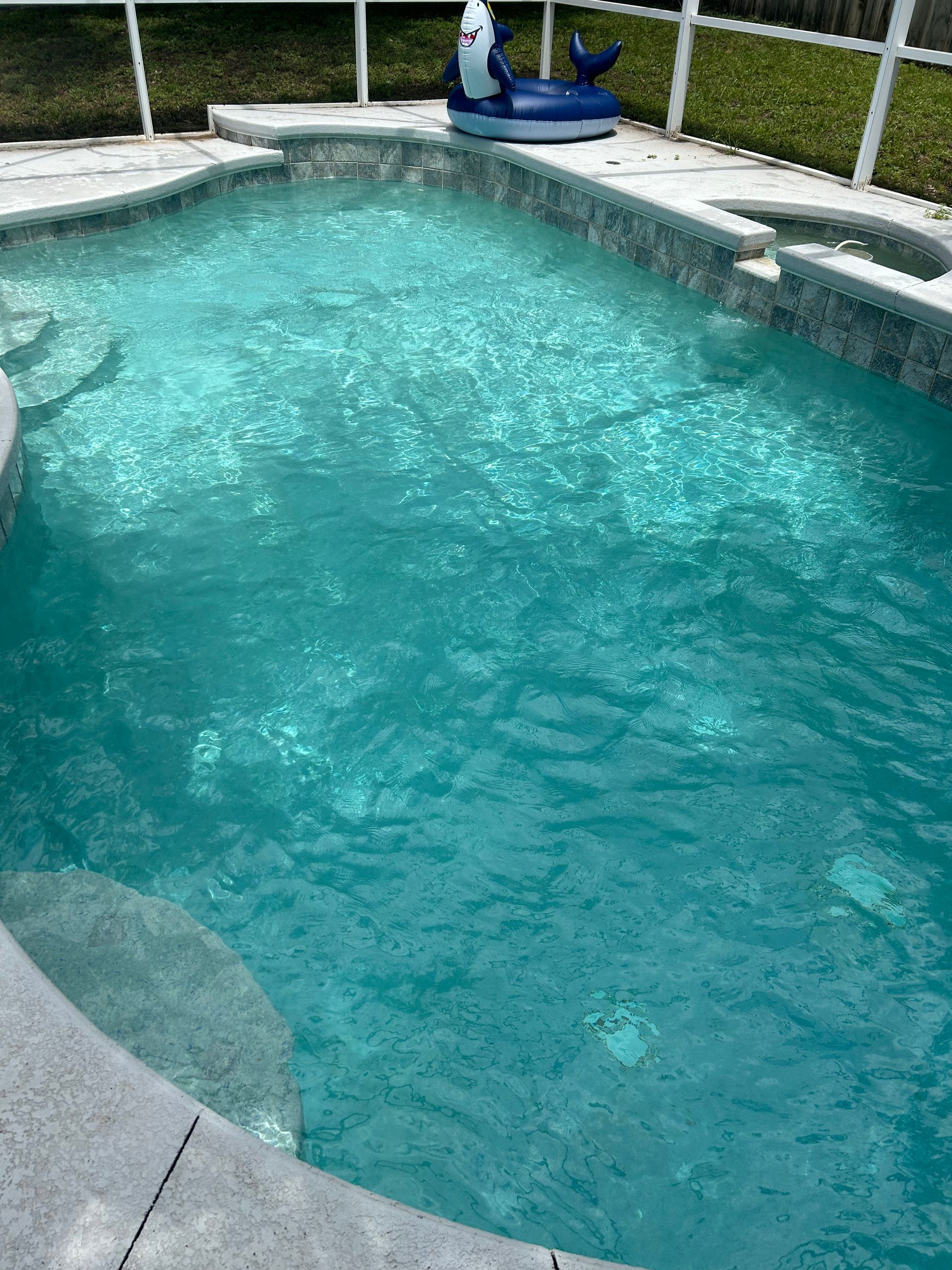 A swimming pool with a whale float in it.