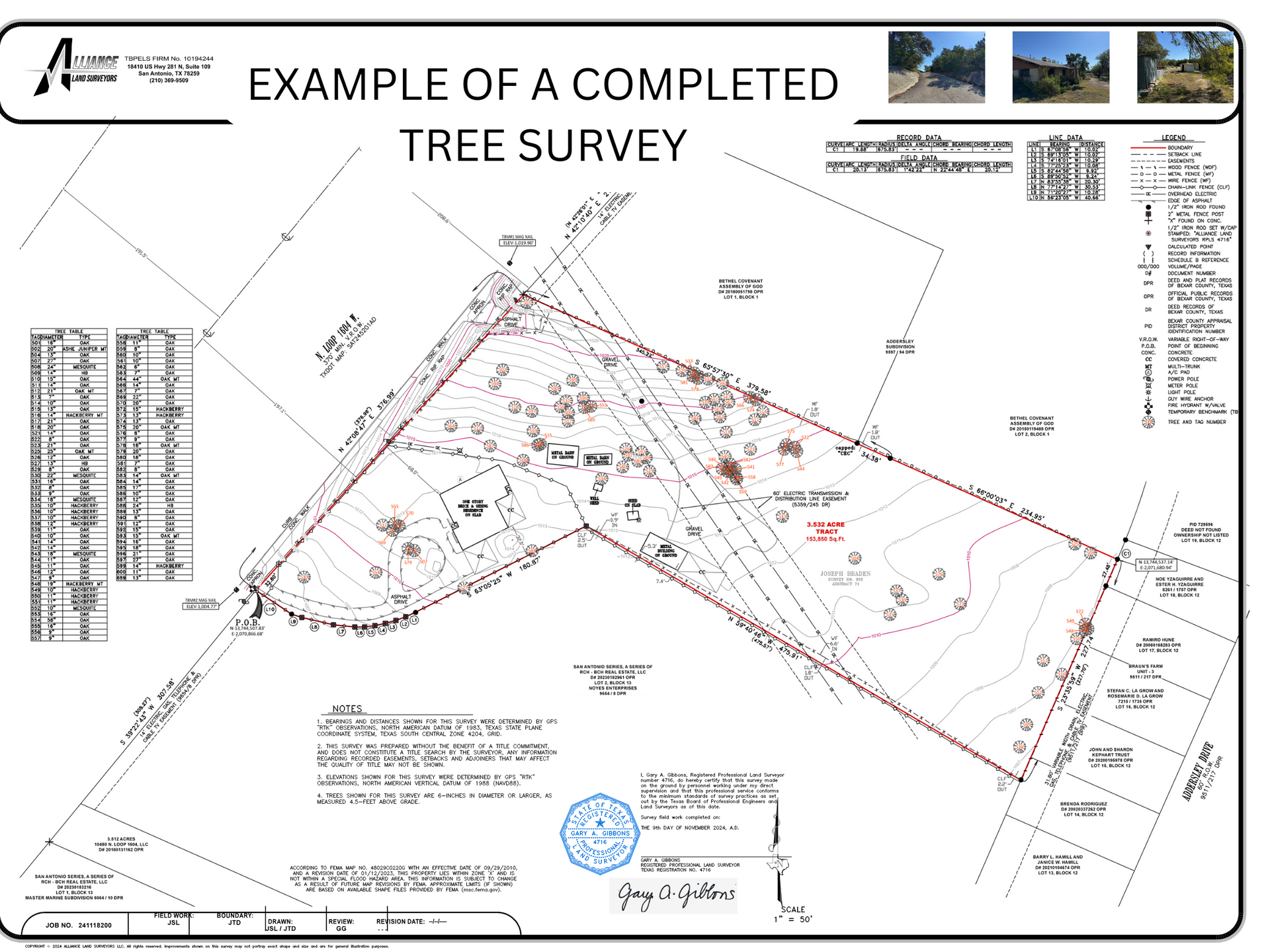 Tree Survey Example - What is a Tree Survey