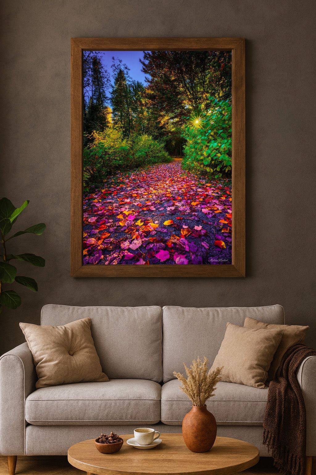 Celebration of Colors