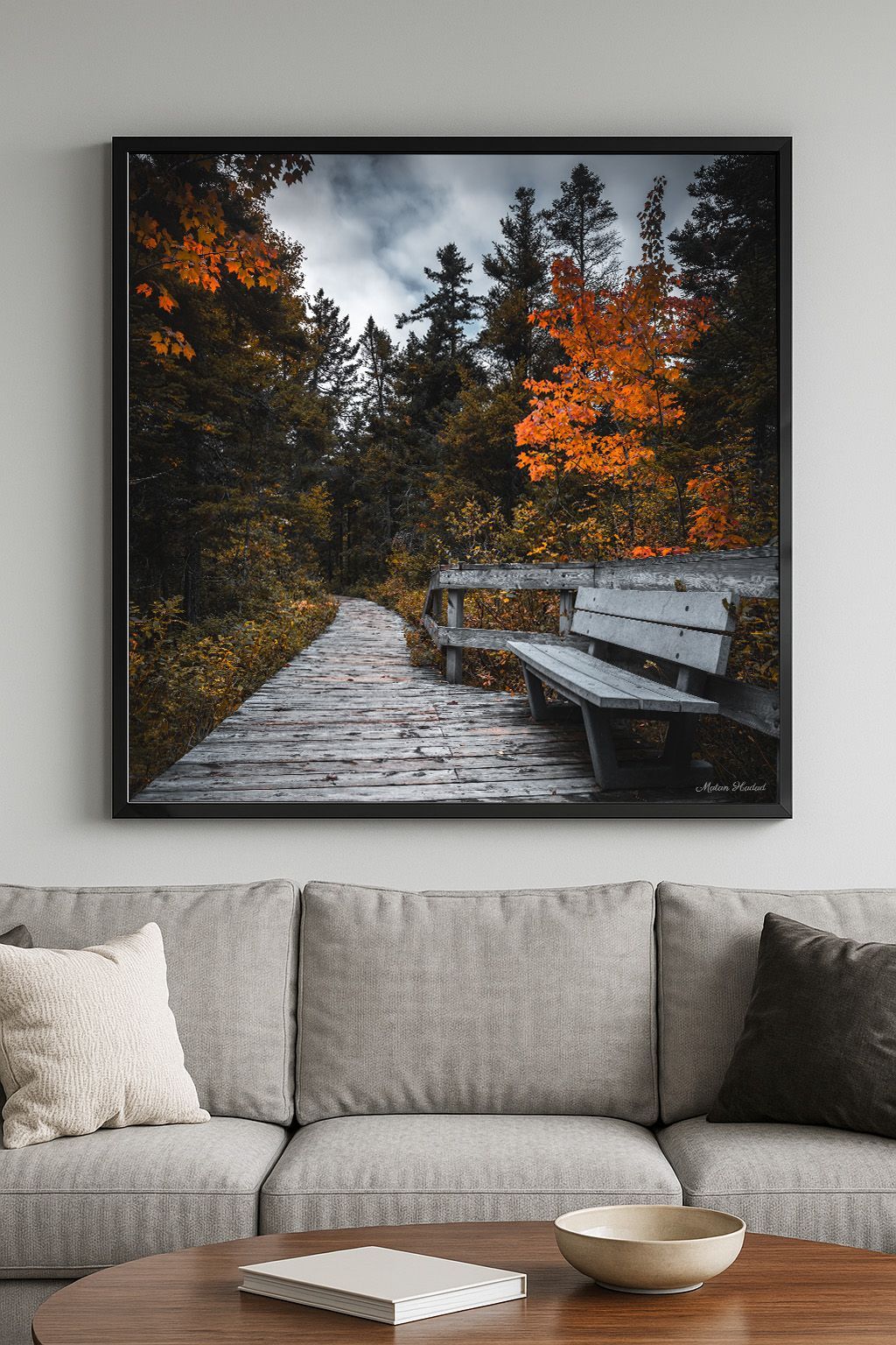 Arrival of the birds