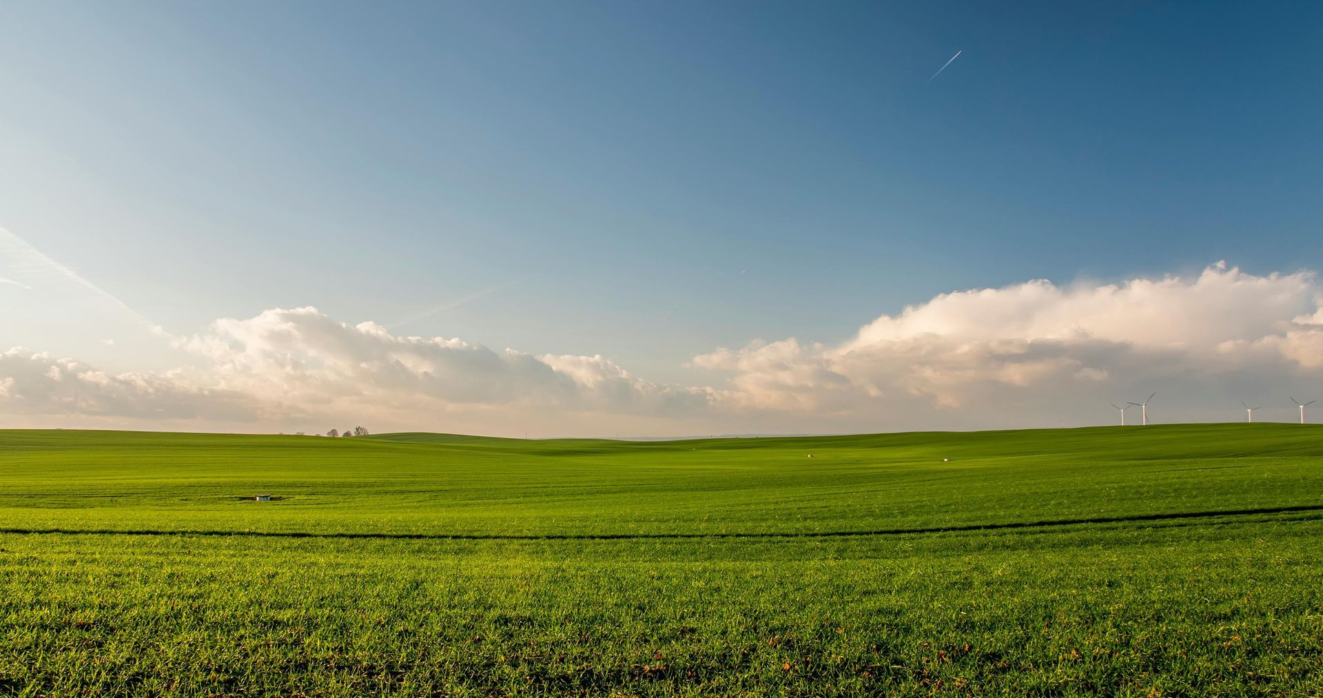 Wide green field under a blue sky with low clouds on the horizon
