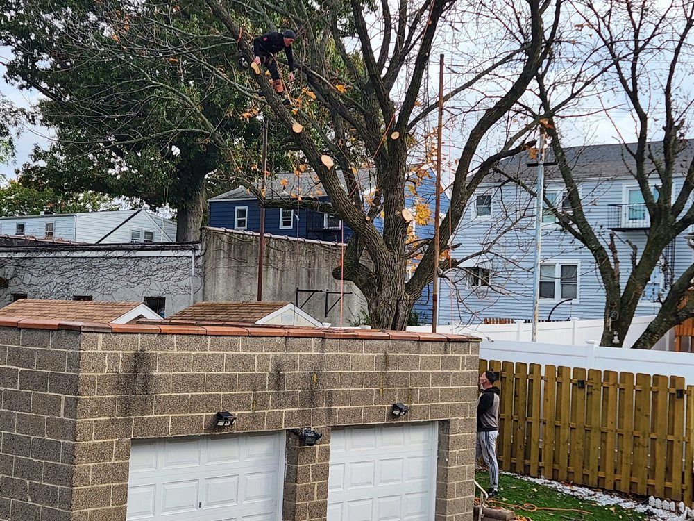 Backyard with two garage roofs, large trees, and a wooden fence behind a brick wall