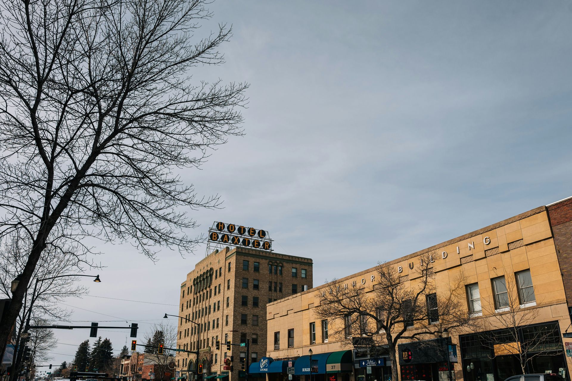 Buildings on a city street; bare tree branches in foreground, overcast sky.