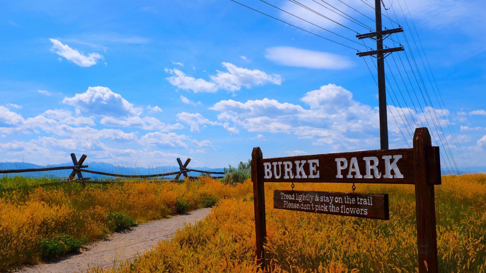 Burke Park sign on a sunny day, overlooking a field of yellow wildflowers, fence, and blue sky.