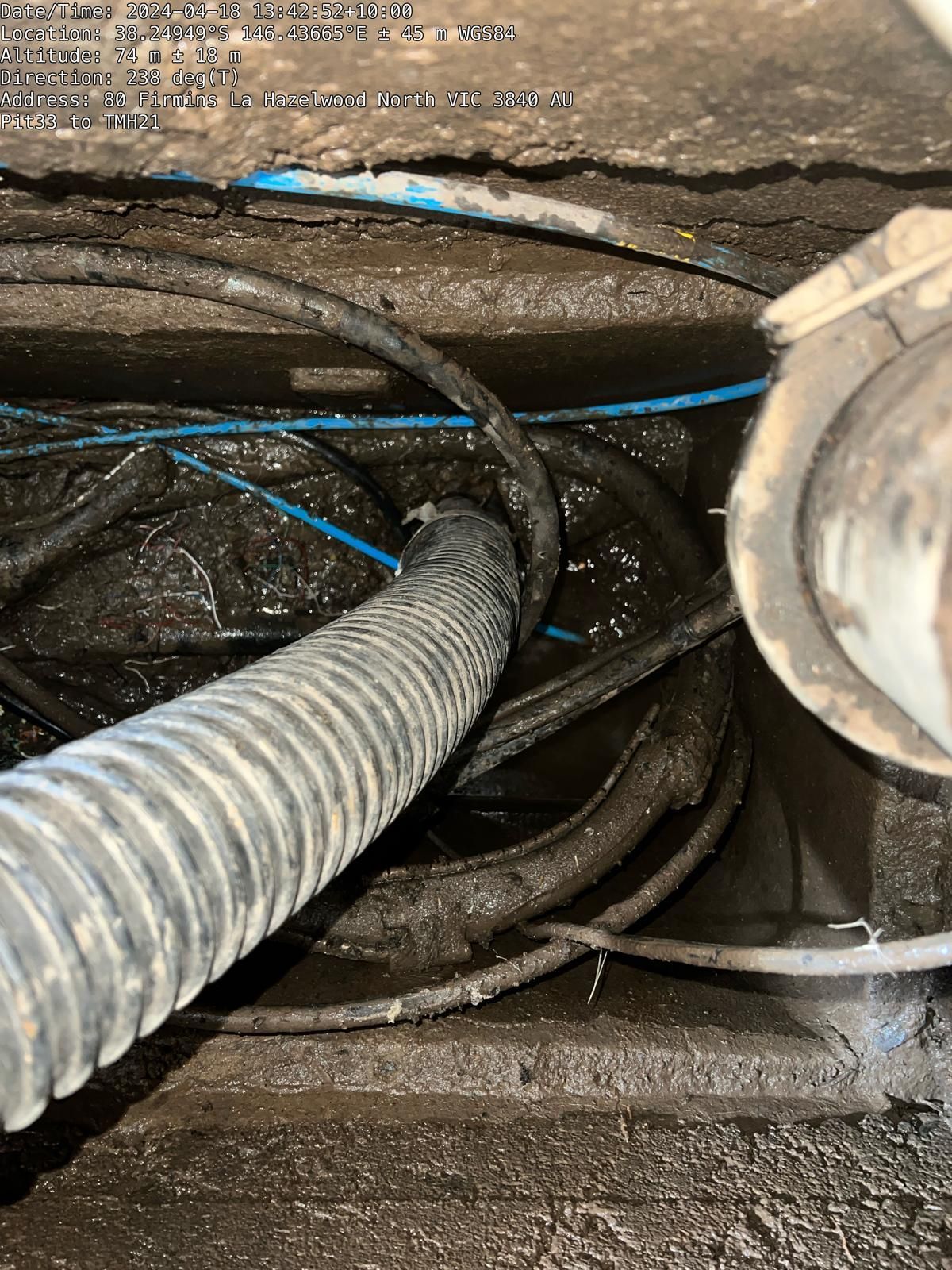 A hose is coming out of a hole in the ground.