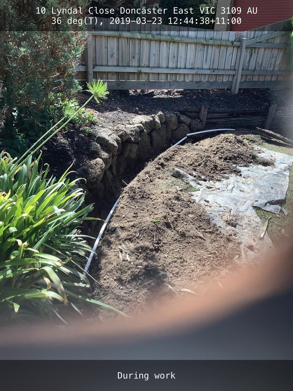 A person is taking a picture of a garden with a fence in the background.
