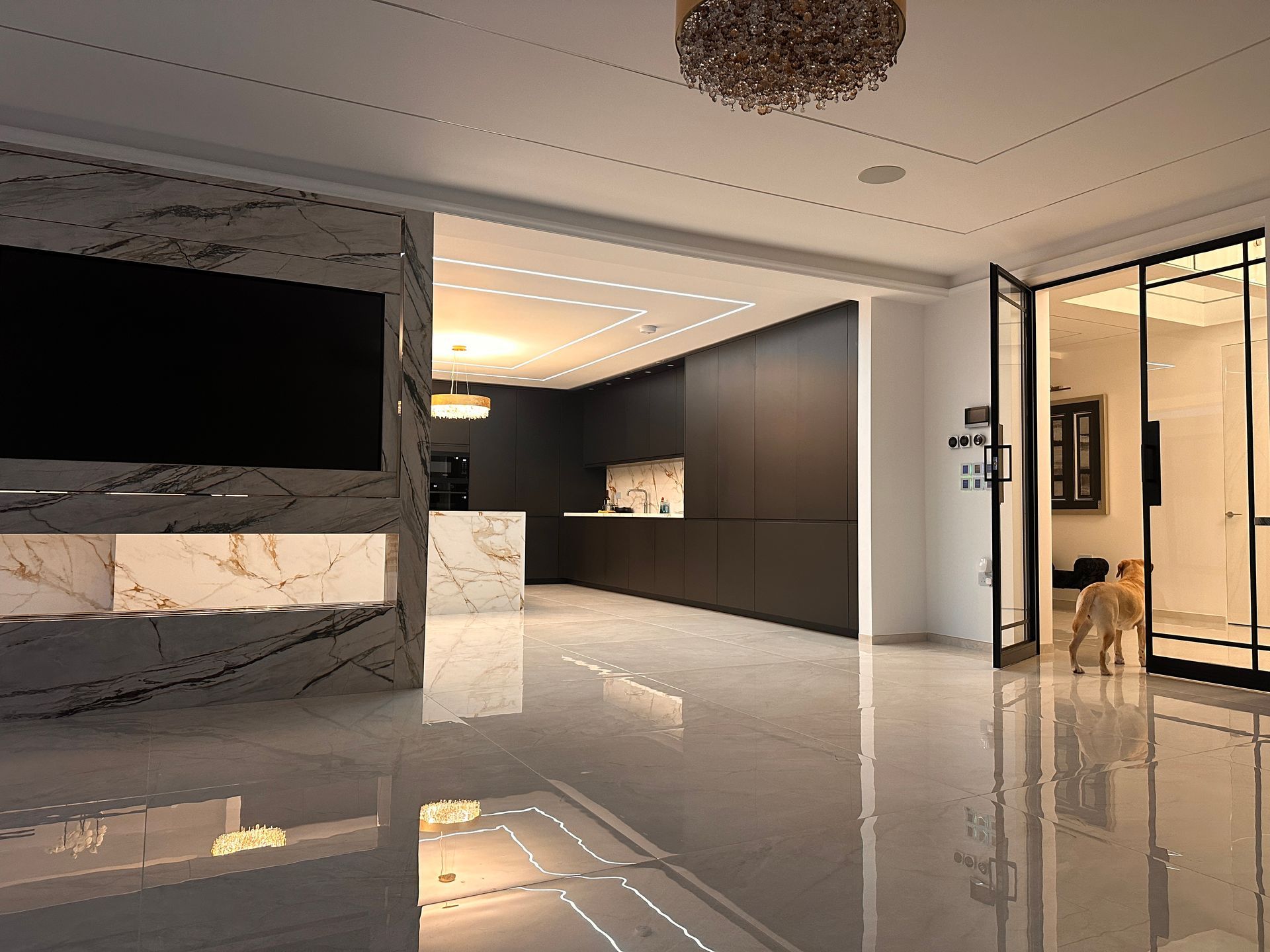 Modern living space with marble accents, kitchen in the background, a dog is standing near an open glass door.
