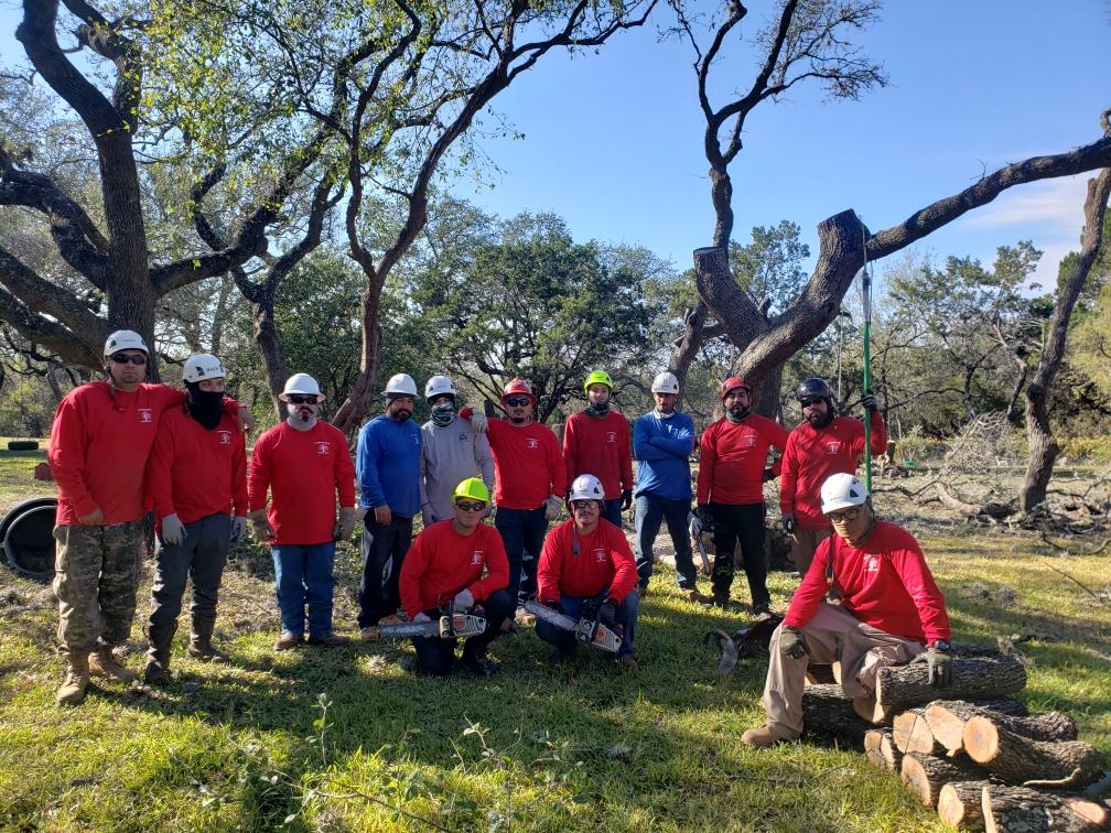 SA Total Tree Service Tree Service Tree Removal