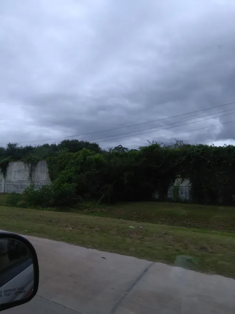 Overgrown concrete structure under a cloudy sky, seen from a car window.